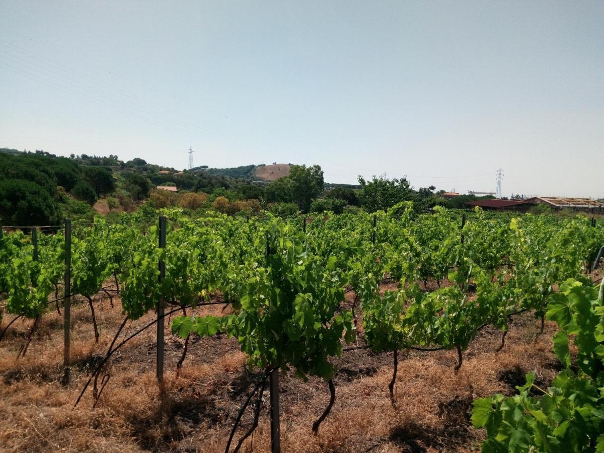 Etnasentieri Wine House On Etna Mount Villa Белпасо Екстериор снимка
