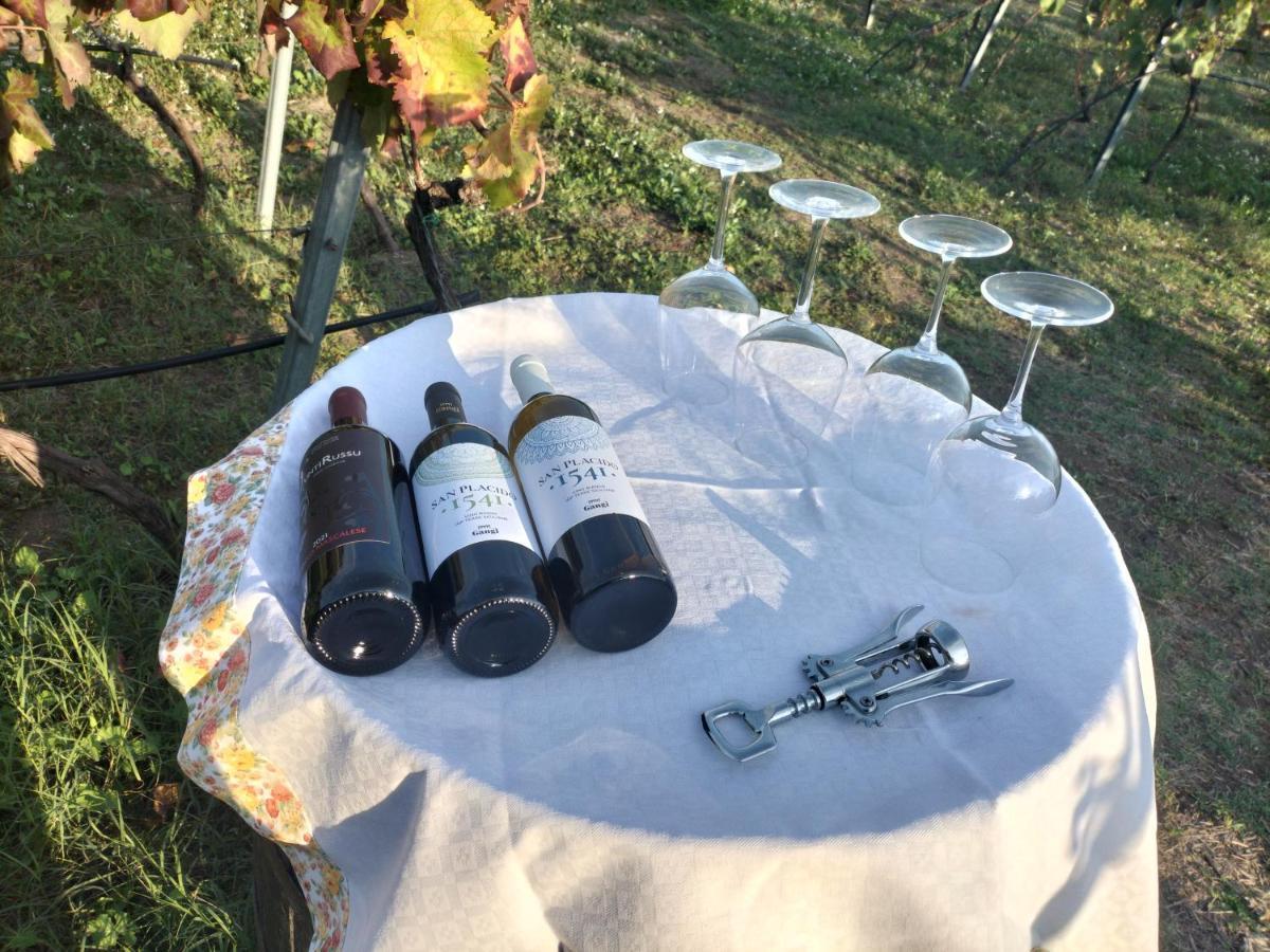 Etnasentieri Wine House On Etna Mount Villa Белпасо Екстериор снимка