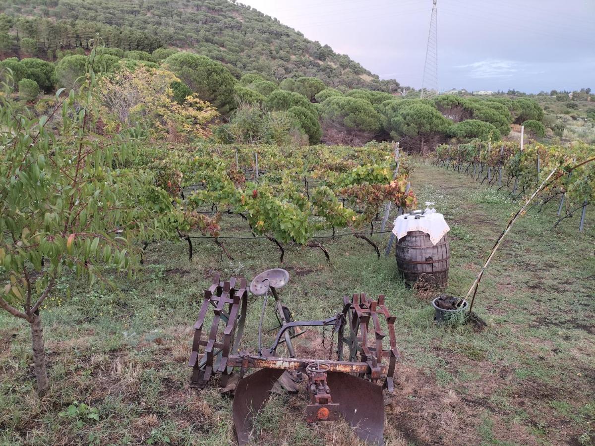 Etnasentieri Wine House On Etna Mount Villa Белпасо Екстериор снимка